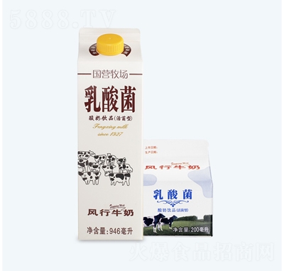 風(fēng)行乳酸菌酸奶飲品發(fā)酵乳飲料